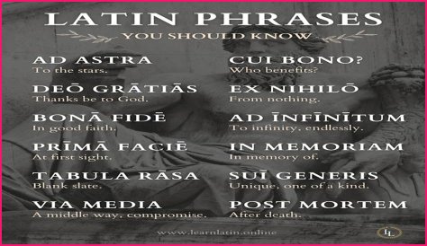 A Profile Of A Latin Beauty