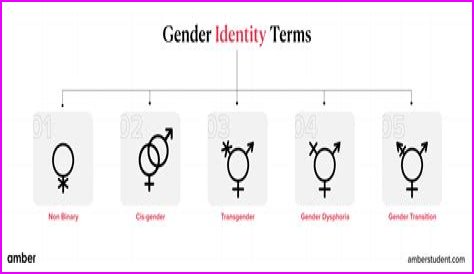 Understanding Gender Identity: The Case Of Brittney Griner's Biological Sex